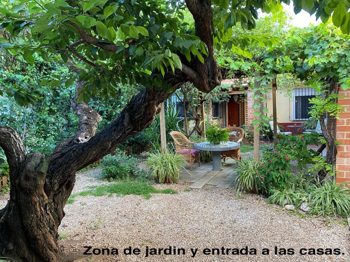 La Casa Rural De Carlos Playa de Gandia 外观 照片